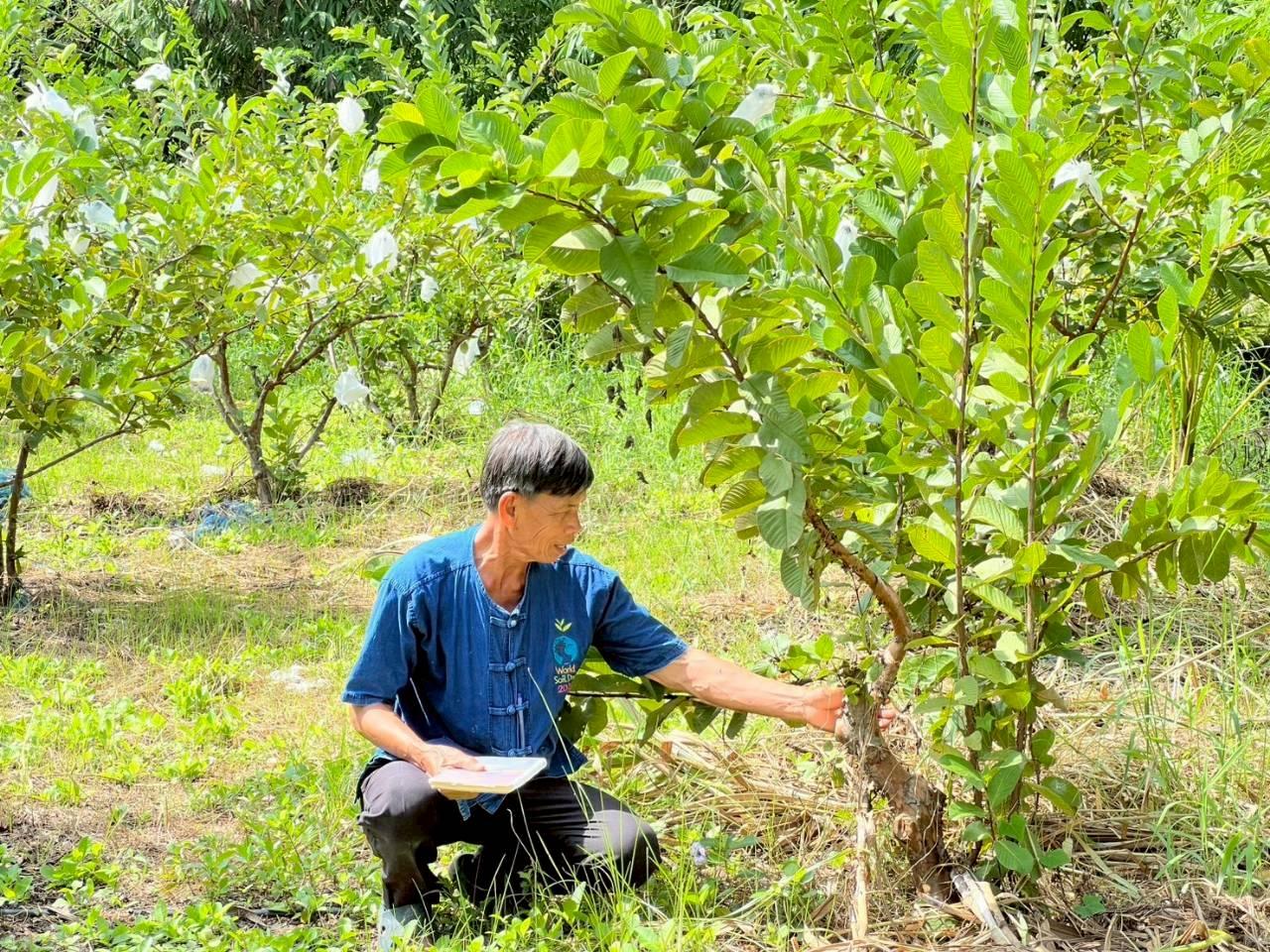ภาพประกอบที่ 10