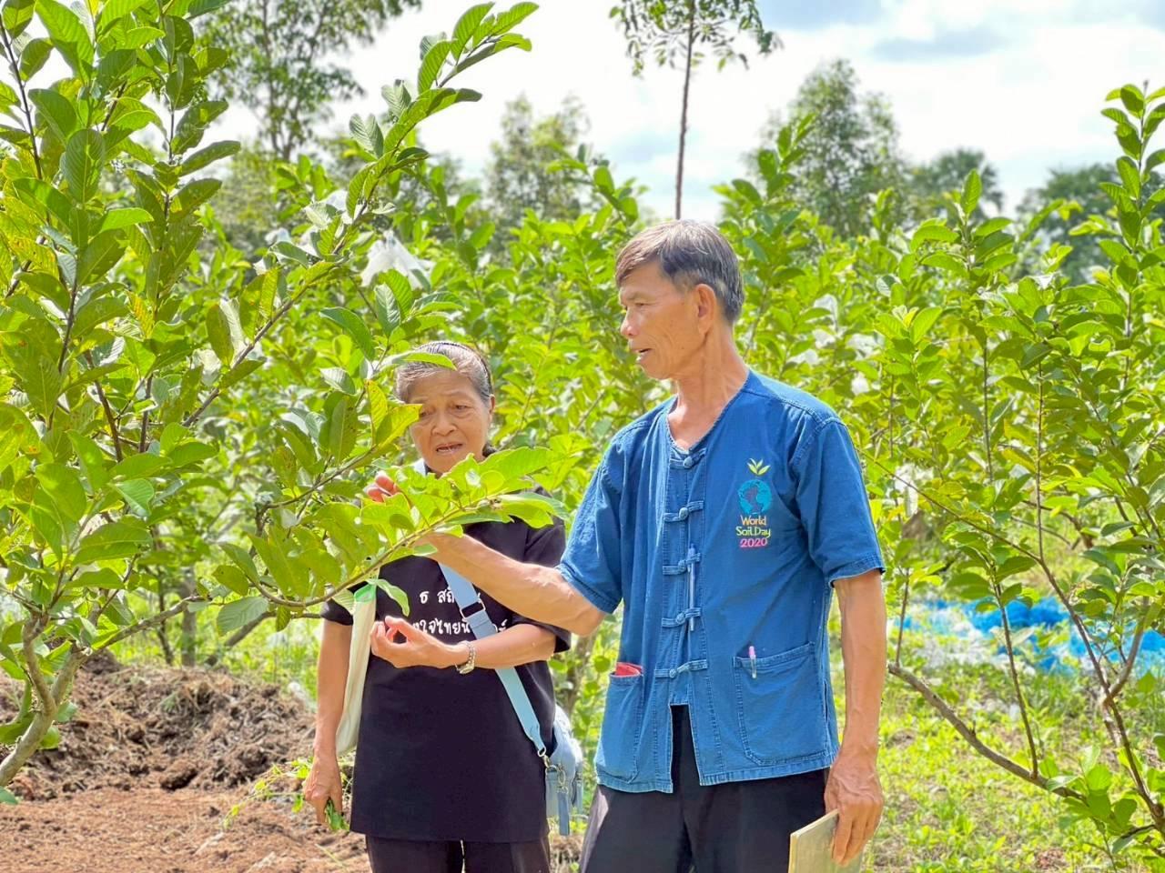 ภาพประกอบที่ 11