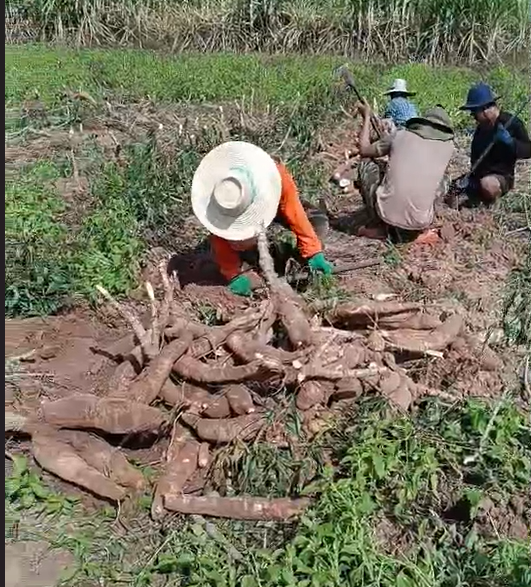 ภาพประกอบที่ 6