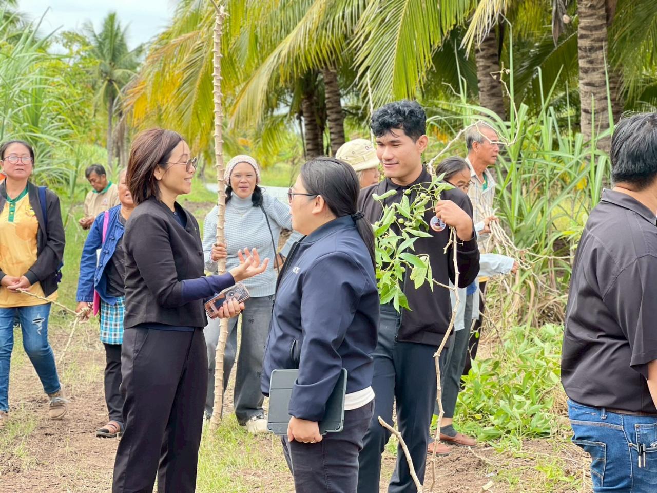 ภาพประกอบที่ 2