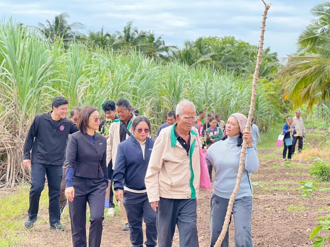 ภาพประกอบที่ 3