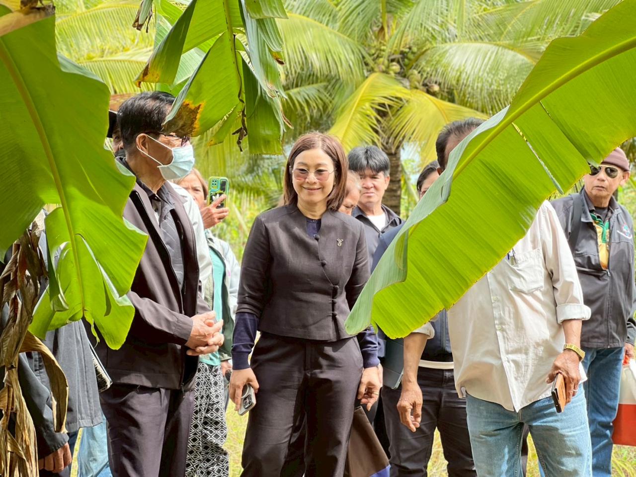 ภาพประกอบที่ 5