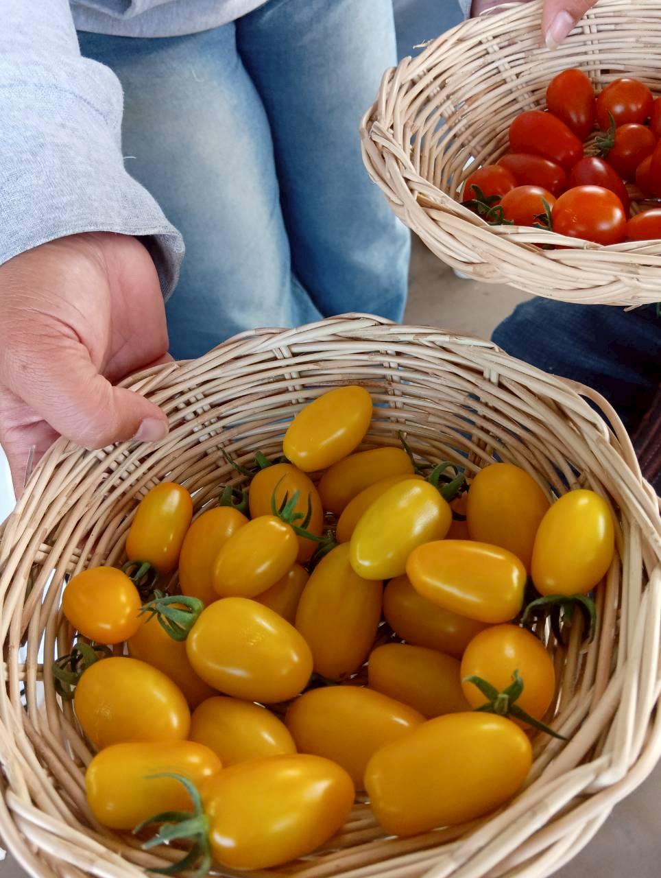 ภาพประกอบที่ 9