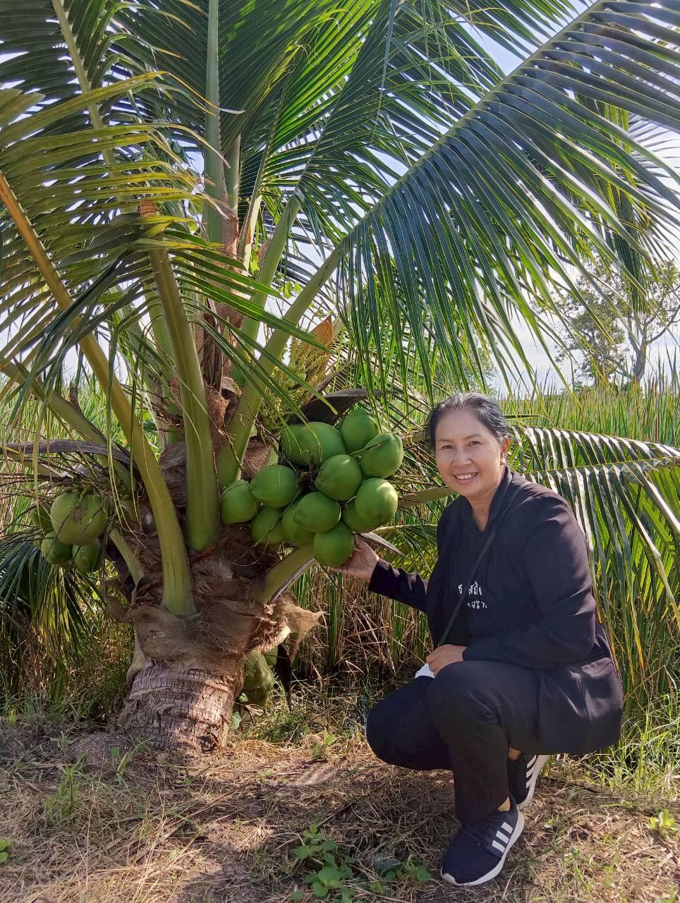 ภาพประกอบที่ 10