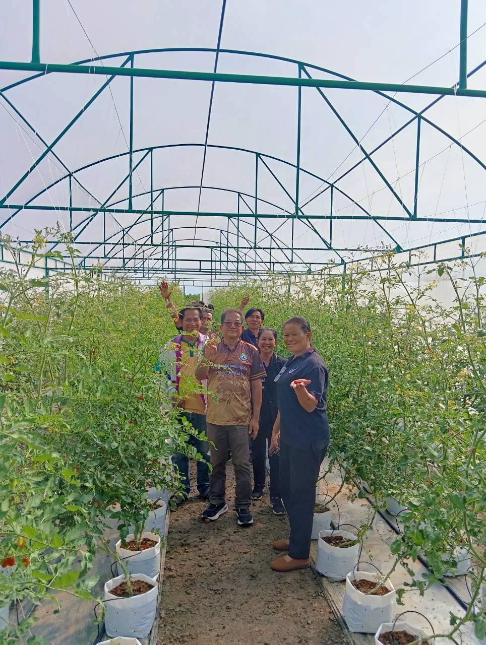 ภาพประกอบที่ 12