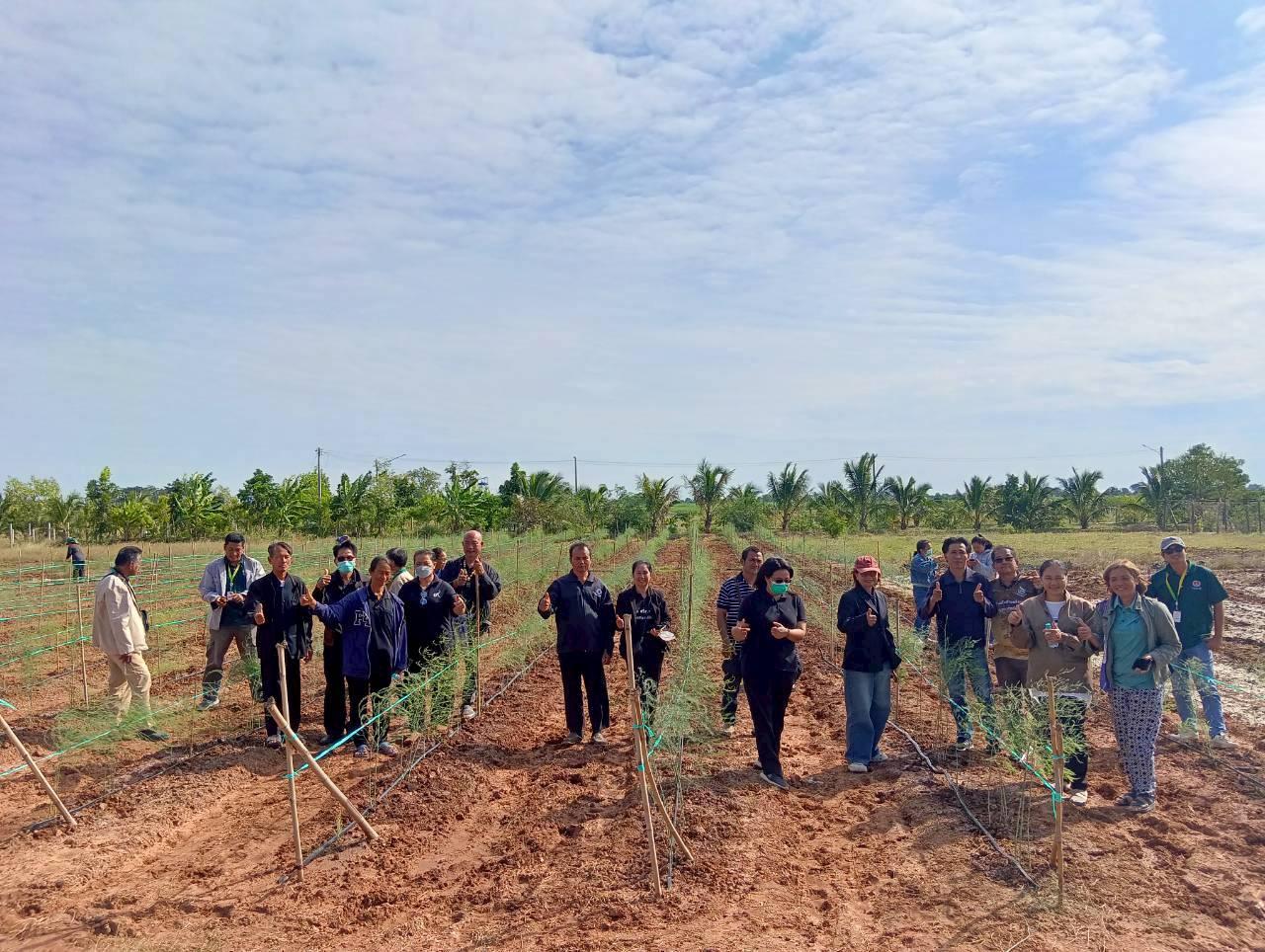 ภาพประกอบที่ 13