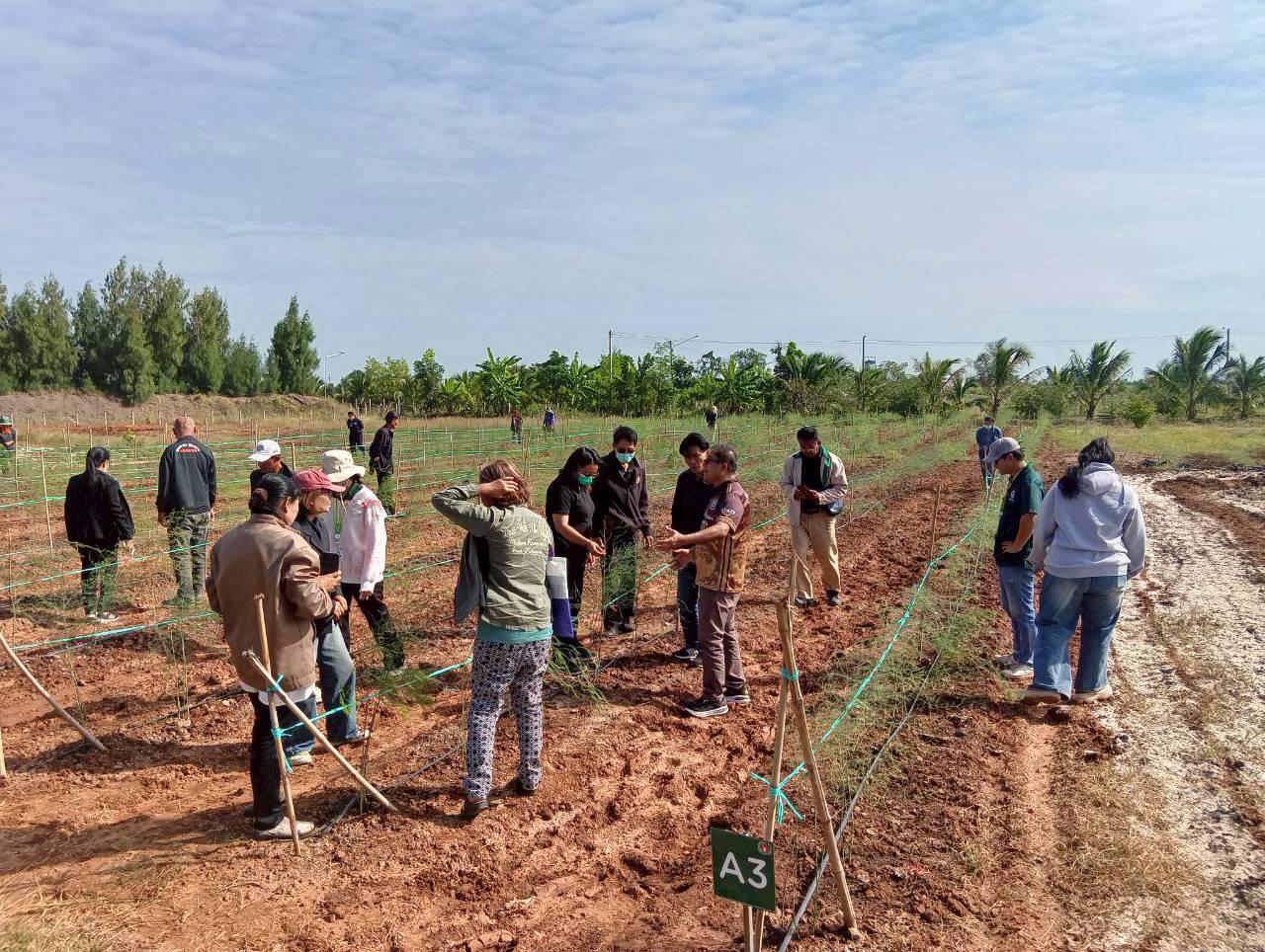 ภาพประกอบที่ 14