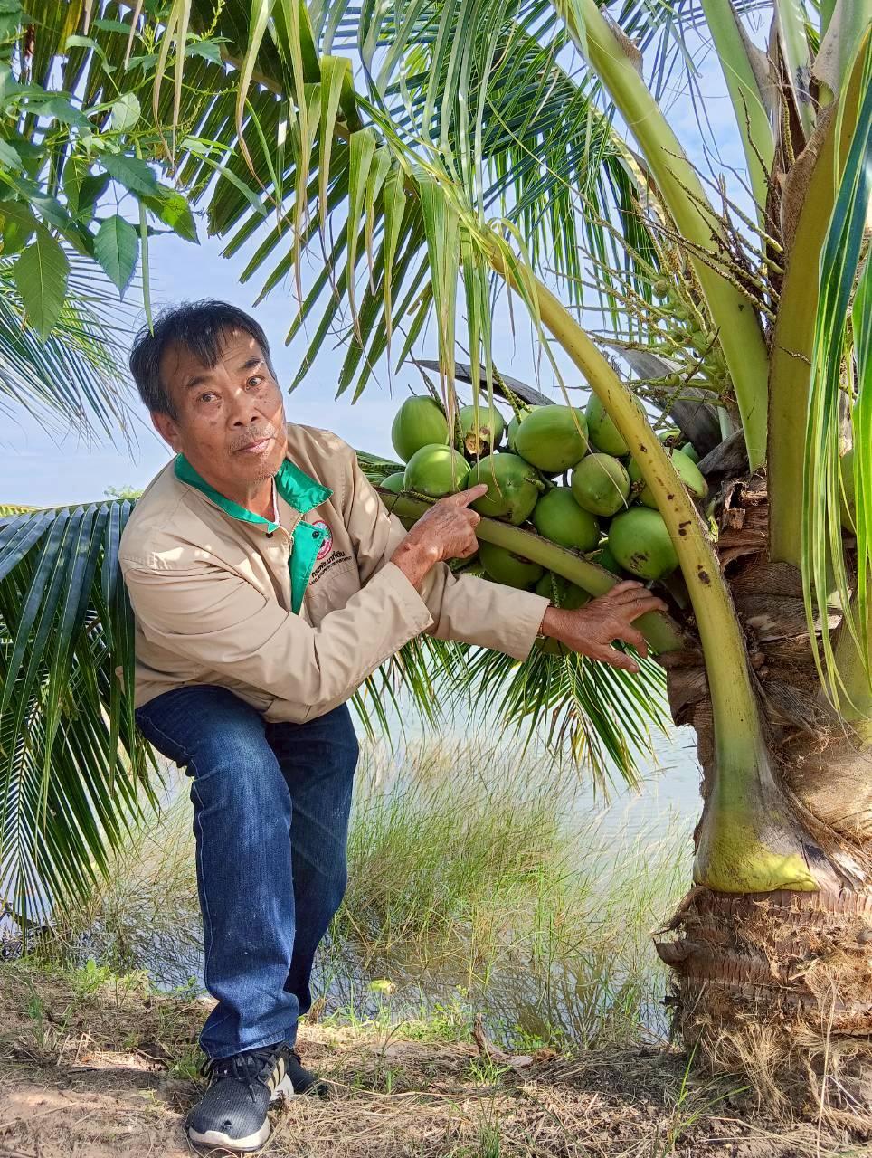 ภาพประกอบที่ 15