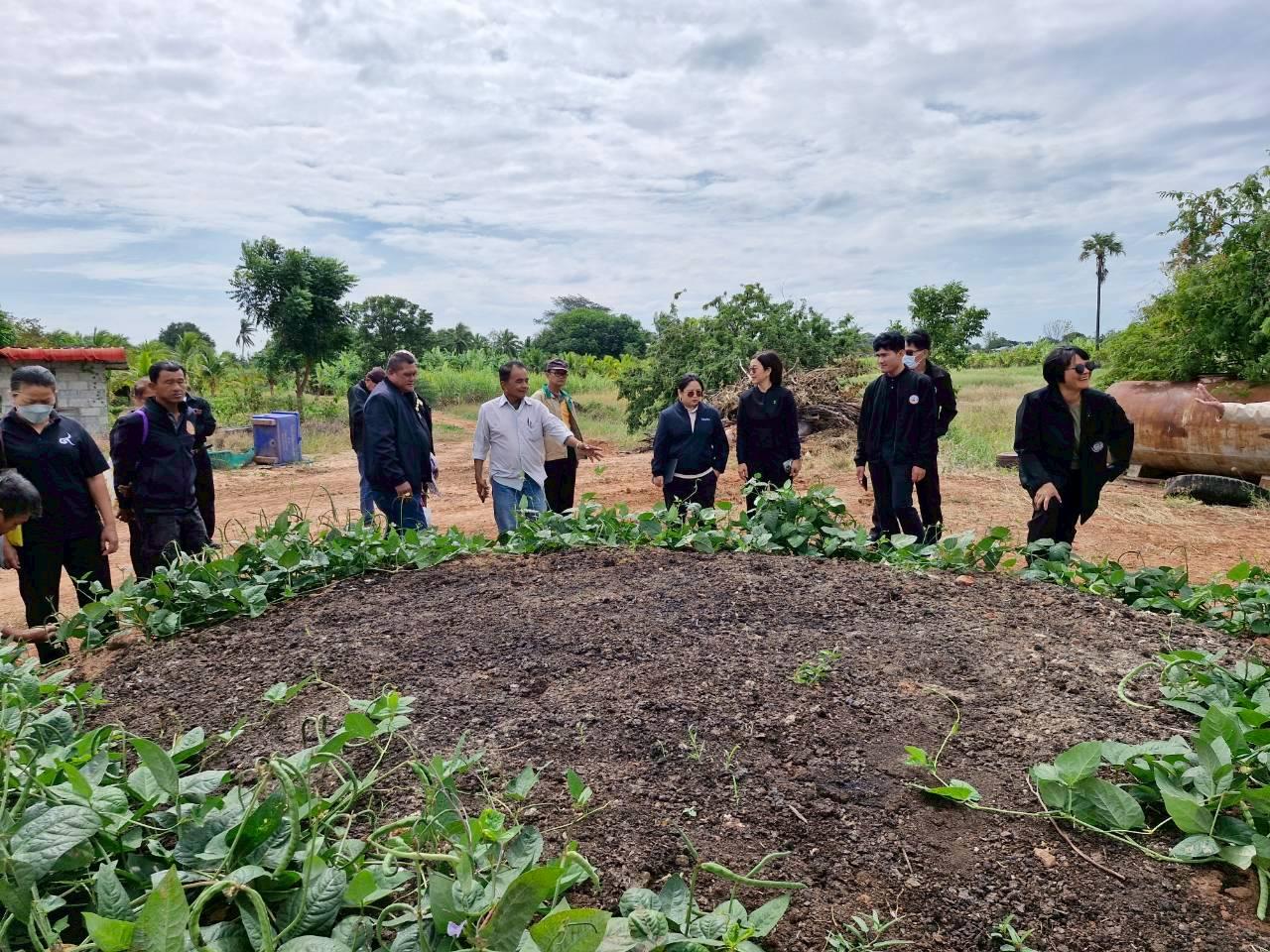 ภาพประกอบที่ 21