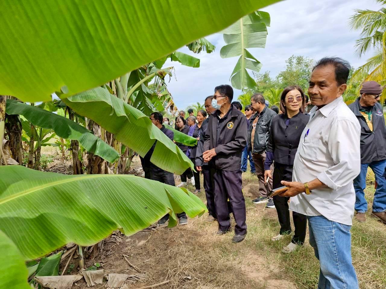 ภาพประกอบที่ 22