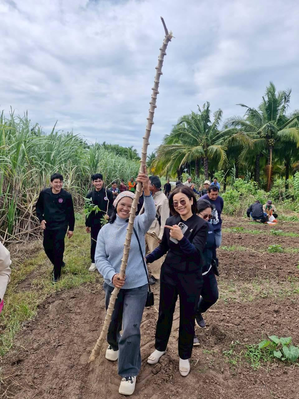 ภาพประกอบที่ 23