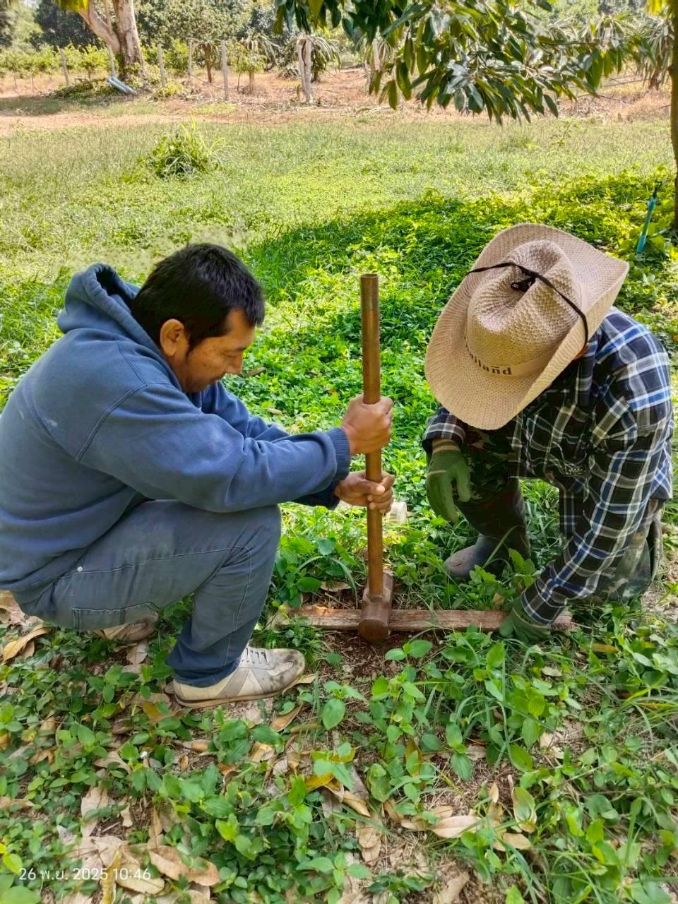 ภาพประกอบที่ 0