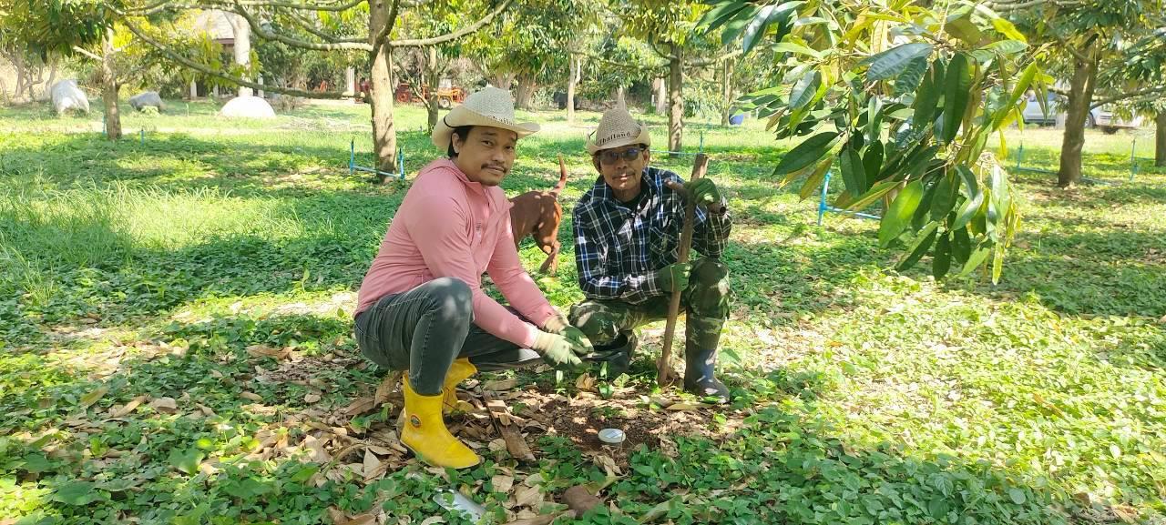 ภาพประกอบที่ 1