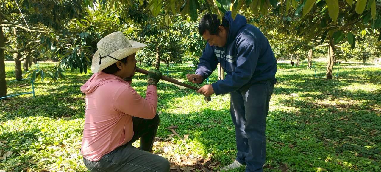 ภาพประกอบที่ 2