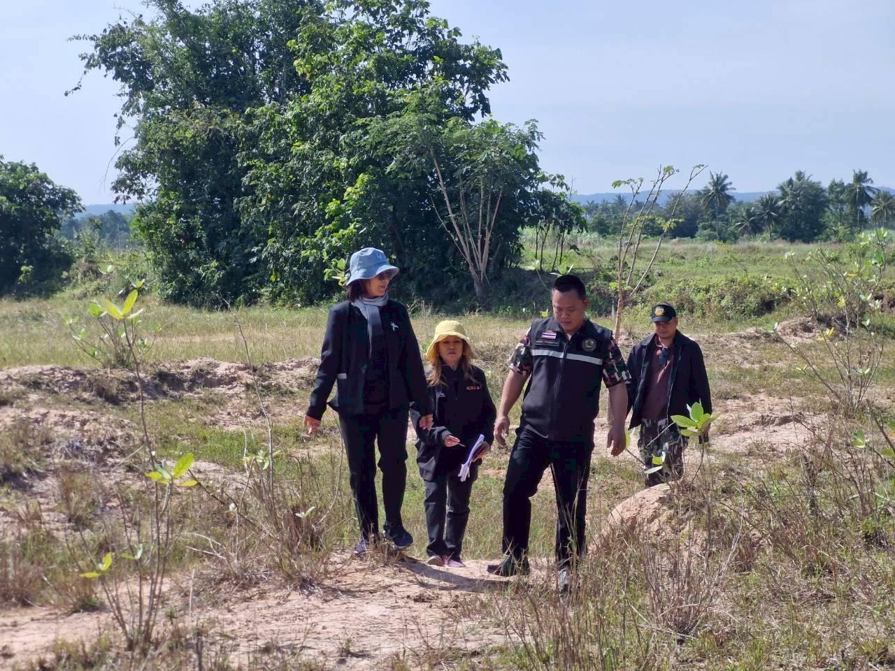 ภาพประกอบที่ 8