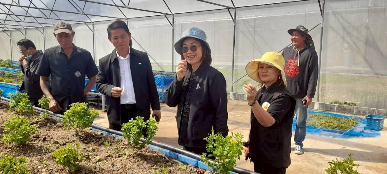 ภาพประกอบที่ 3