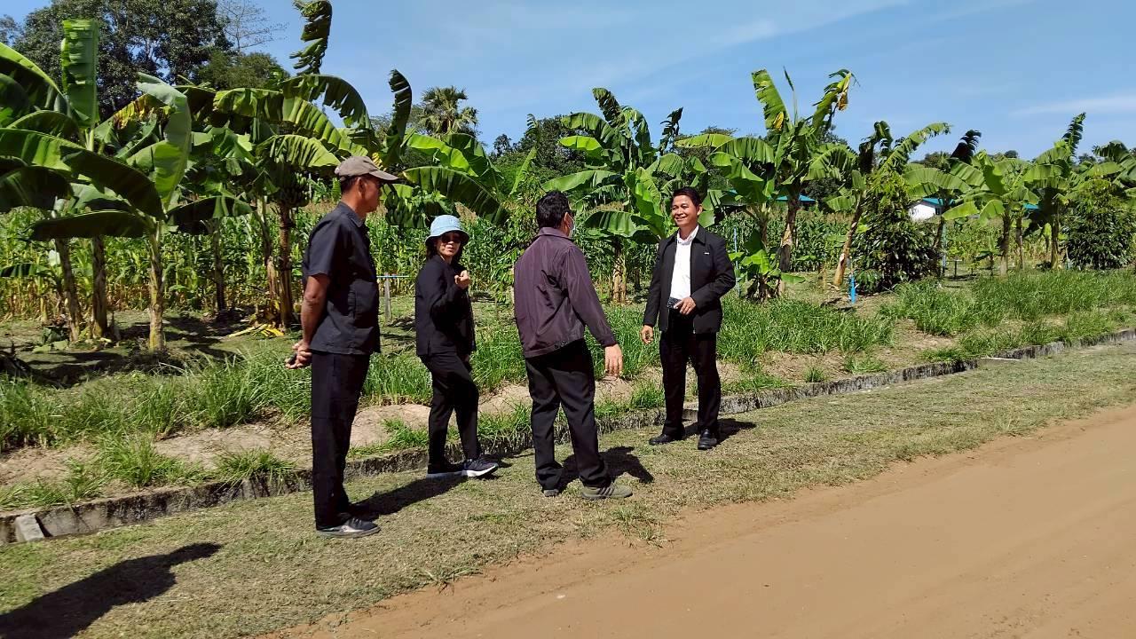 ภาพประกอบที่ 8