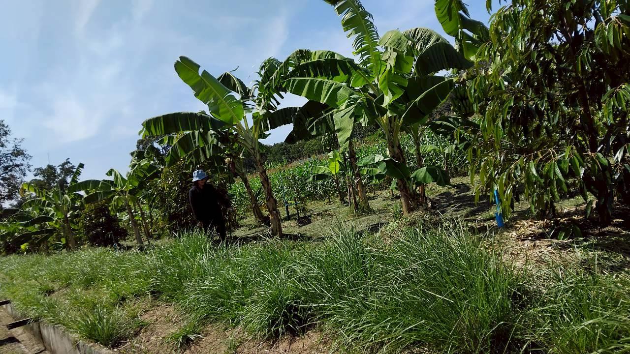 ภาพประกอบที่ 10