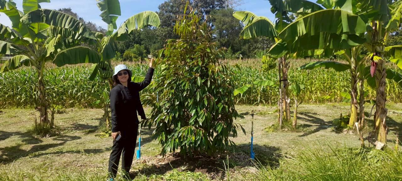 ภาพประกอบที่ 22