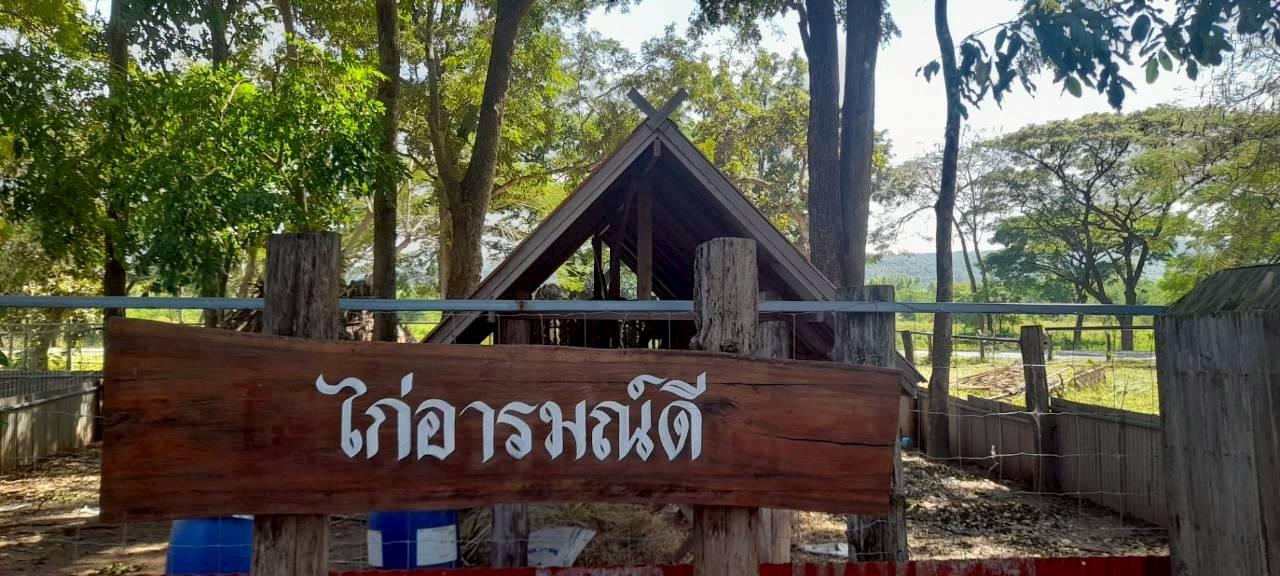 ภาพประกอบที่ 23