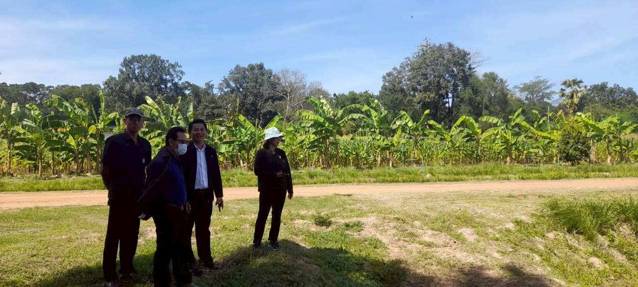 ภาพประกอบที่ 24