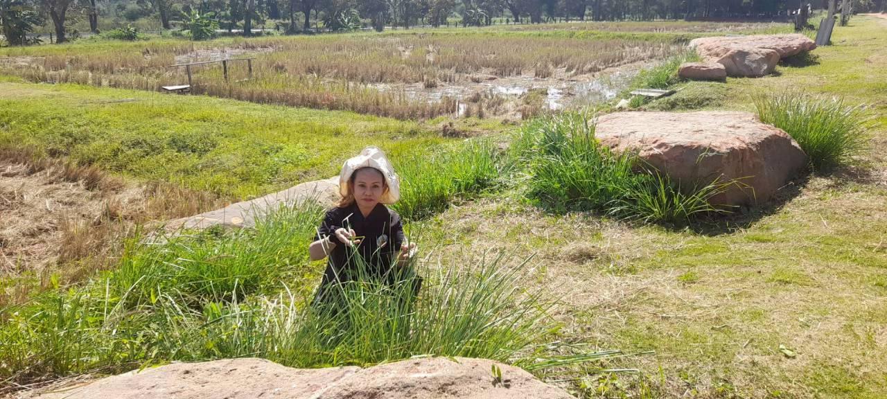 ภาพประกอบที่ 26