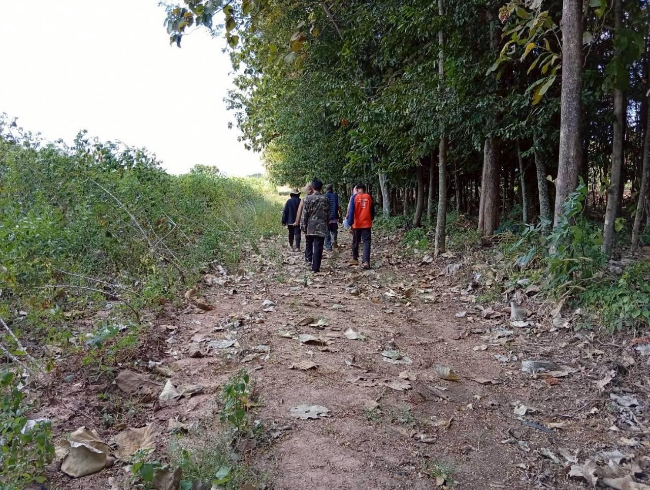 ภาพประกอบที่ 1