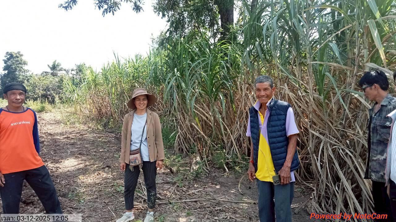 ภาพประกอบที่ 6