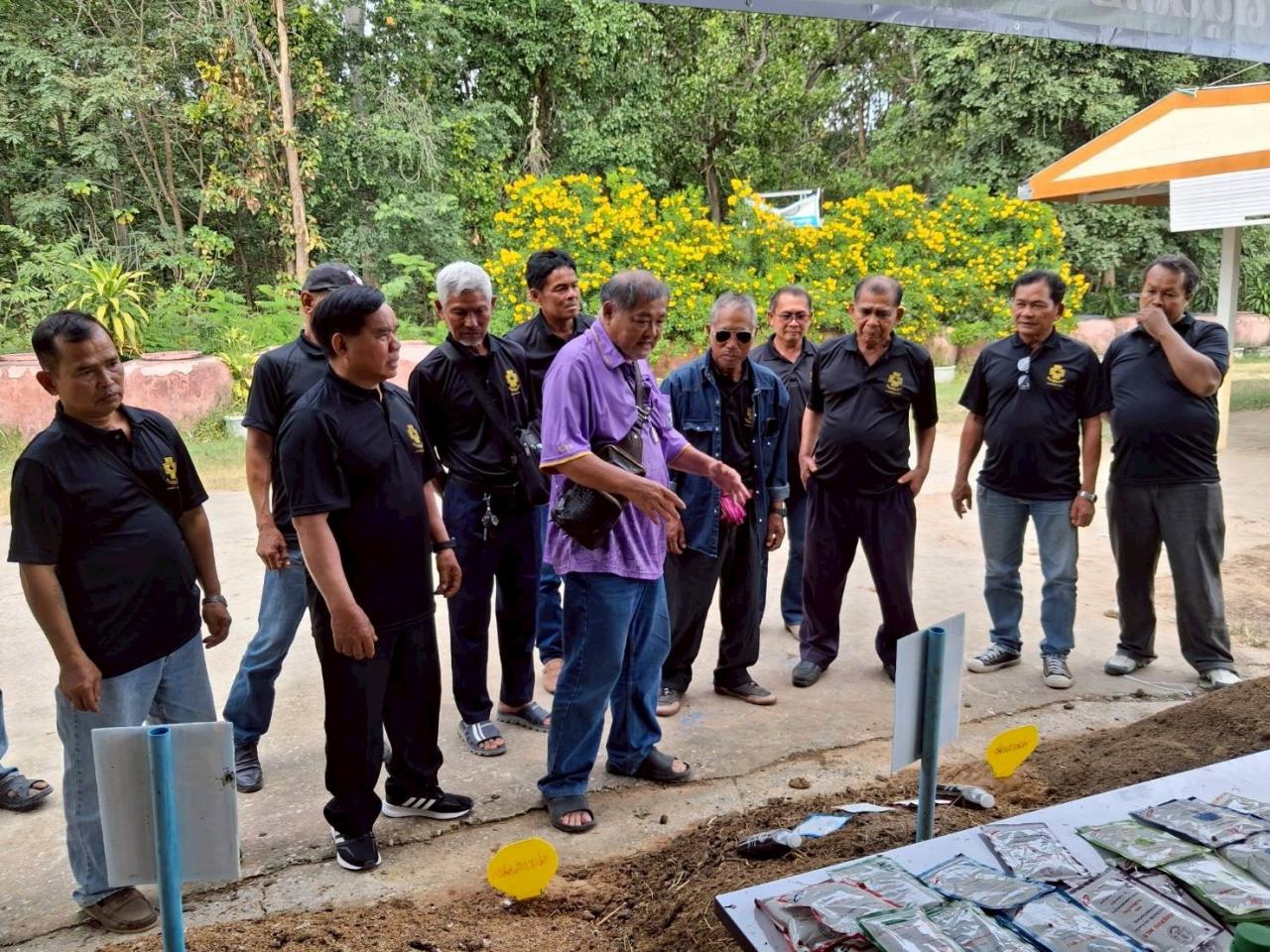 ภาพประกอบที่ 0