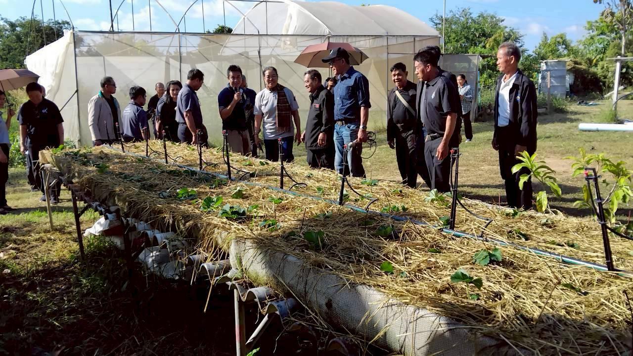 ภาพประกอบที่ 1