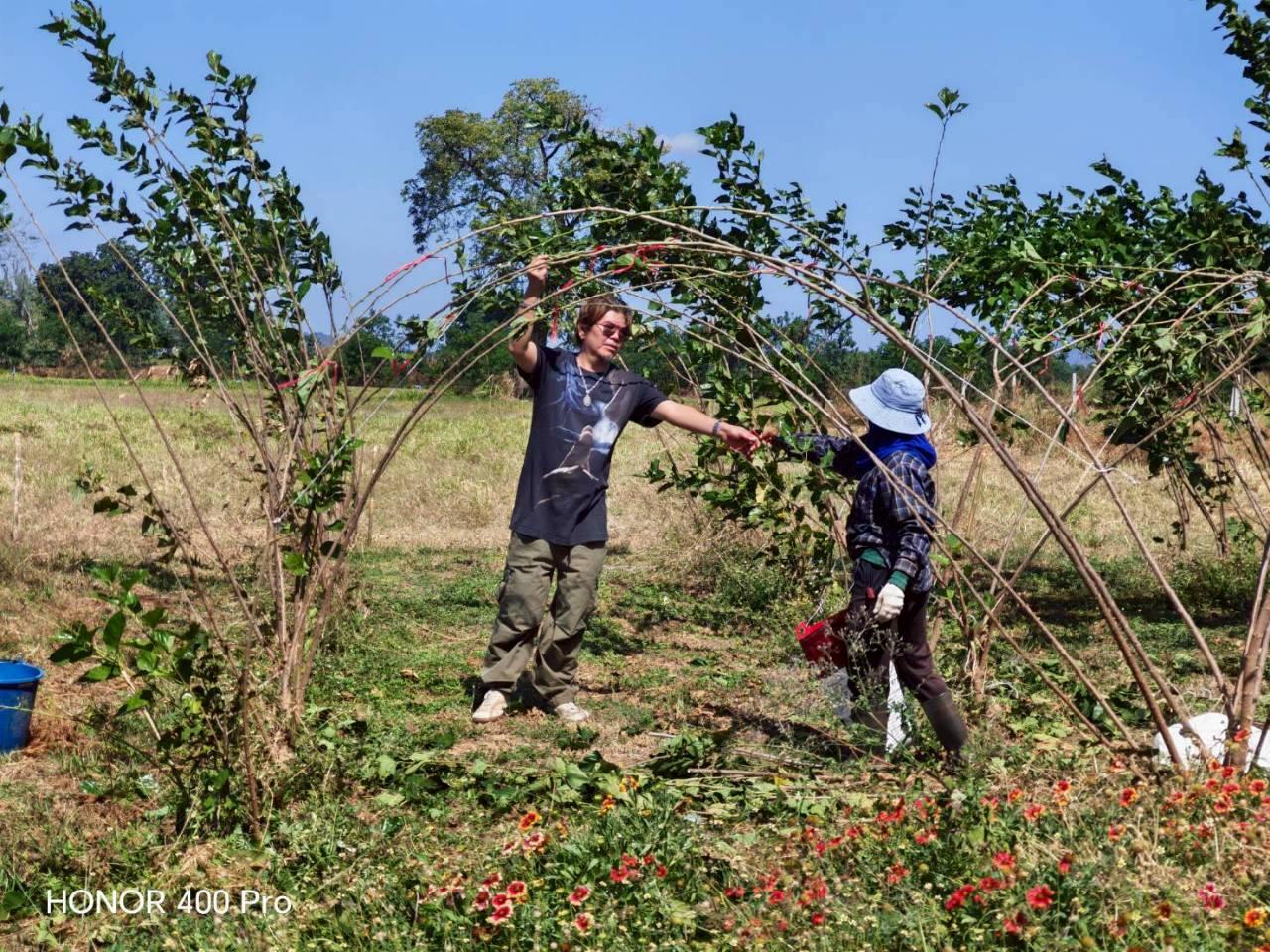 ภาพประกอบที่ 7