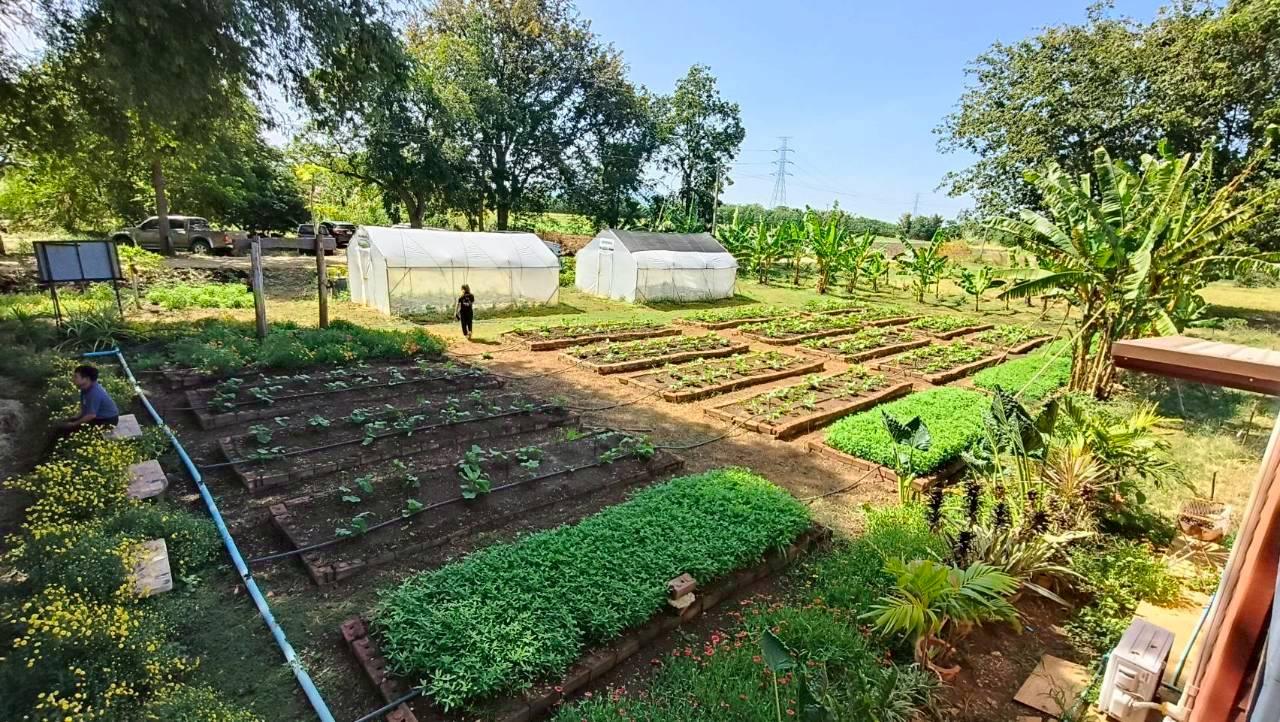 ภาพประกอบที่ 12