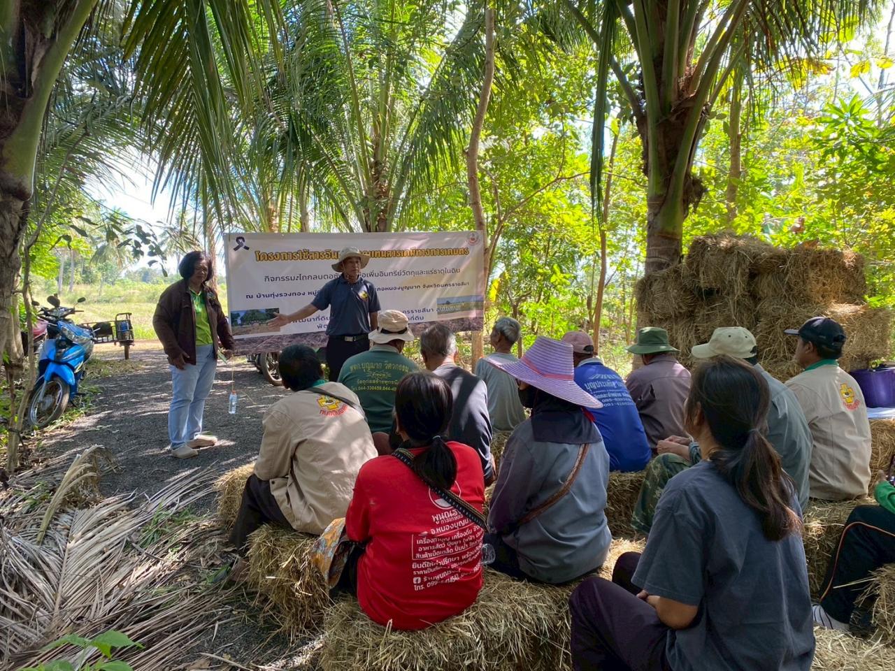 ภาพประกอบที่ 2