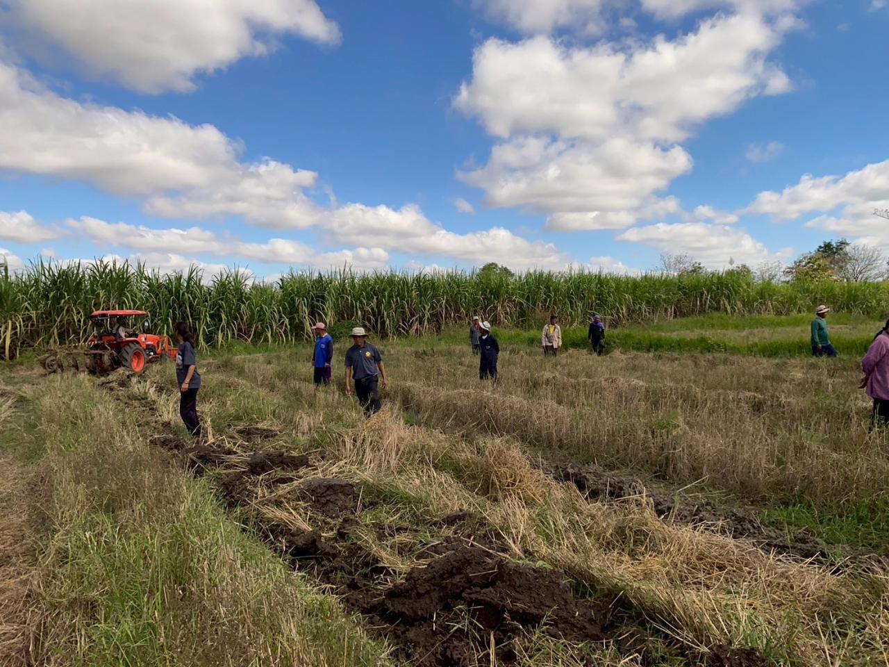 ภาพประกอบที่ 3