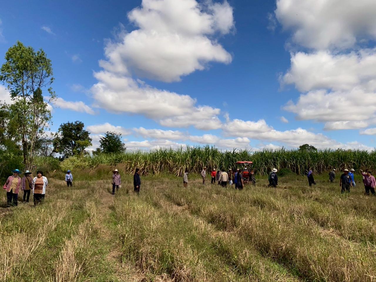 ภาพประกอบที่ 4