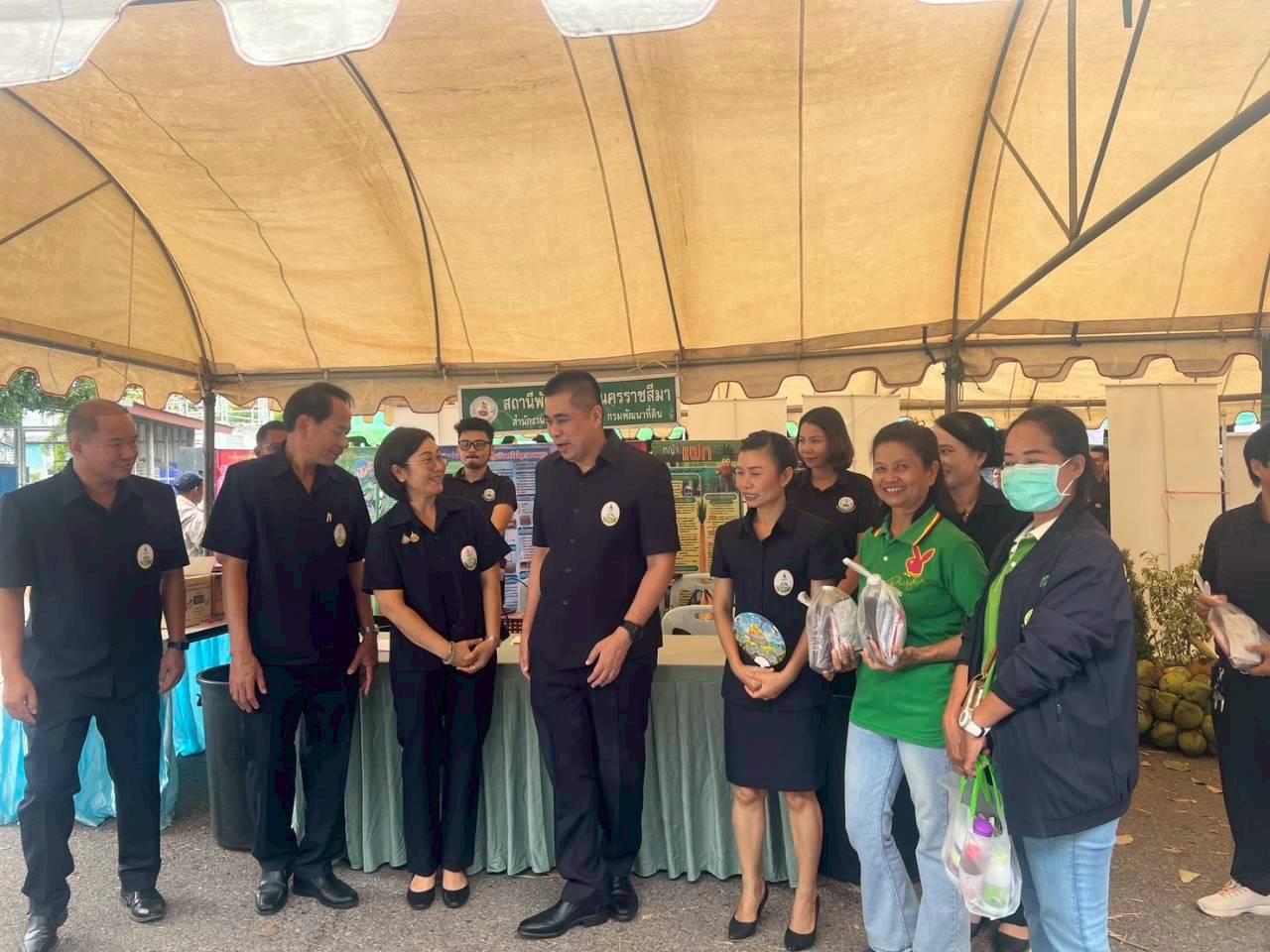 ภาพประกอบที่ 11