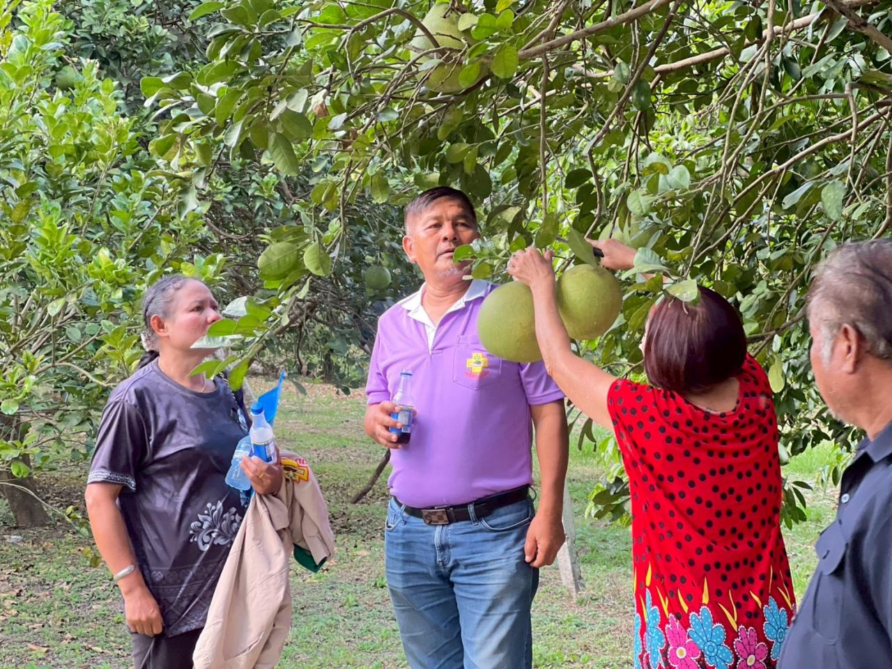 ภาพประกอบที่ 0