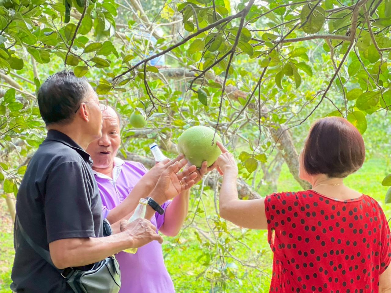 ภาพประกอบที่ 6