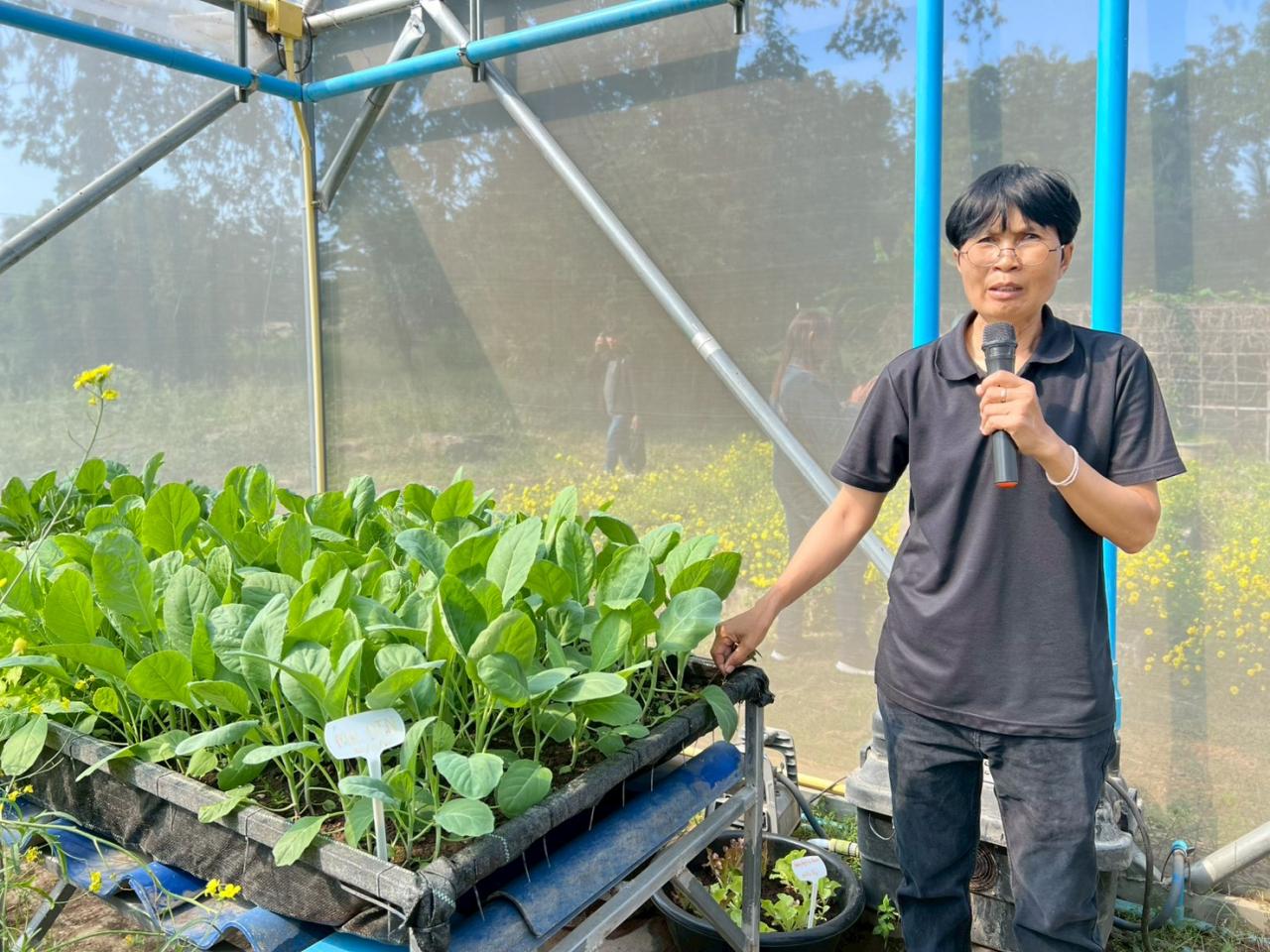 ภาพประกอบที่ 24