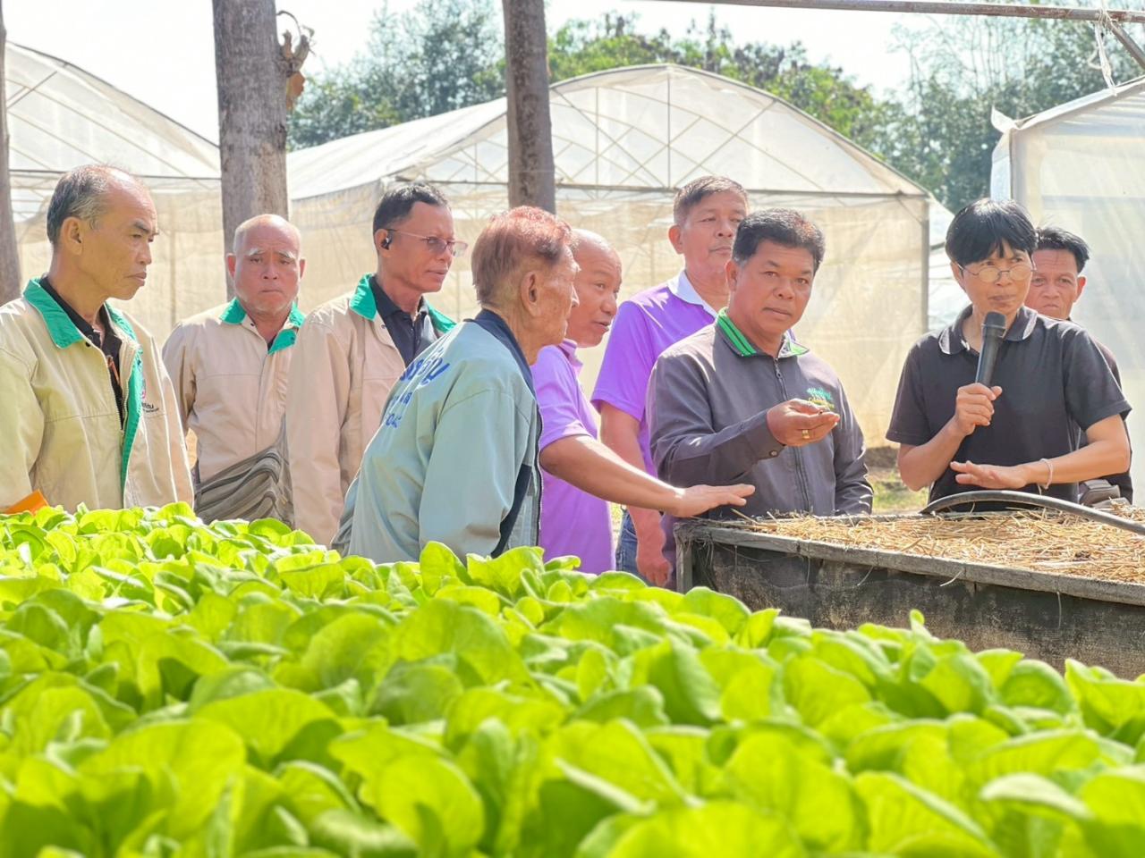 ภาพประกอบที่ 27