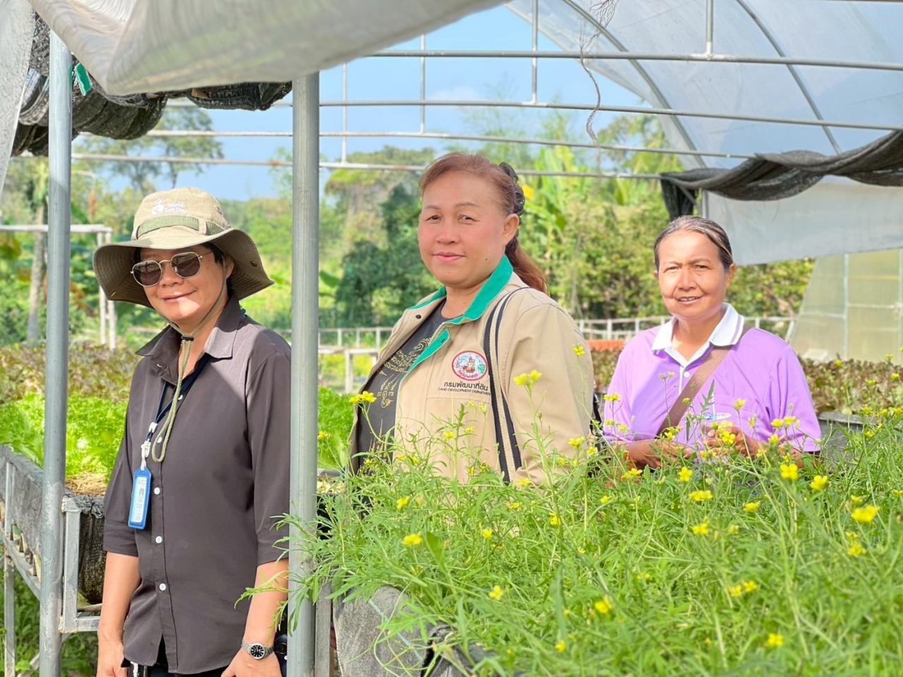 ภาพประกอบที่ 28