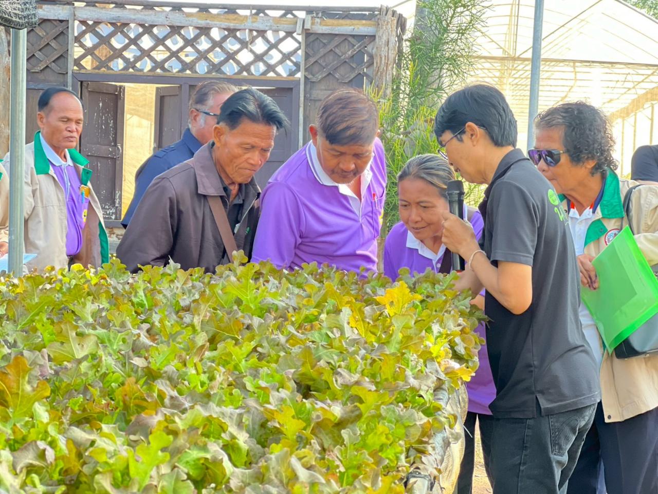 ภาพประกอบที่ 31