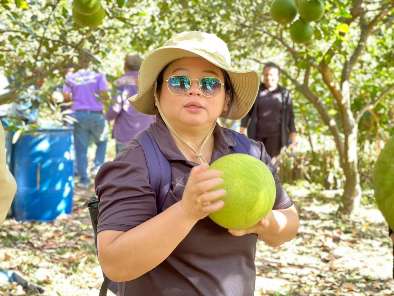 ภาพประกอบที่ 50