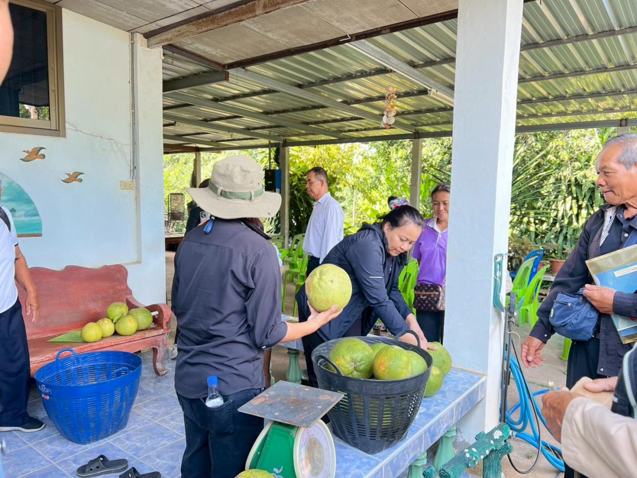 ภาพประกอบที่ 51