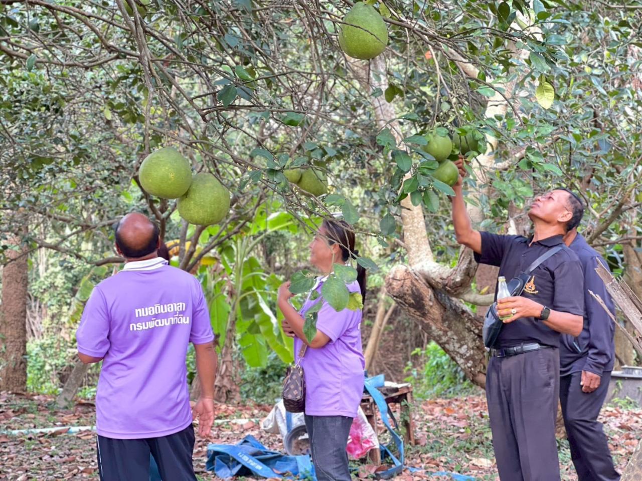 ภาพประกอบที่ 59