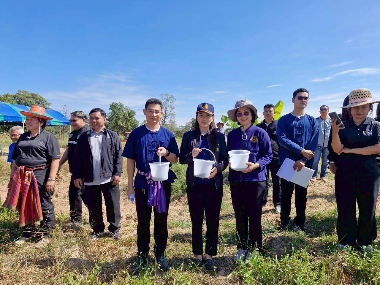 ภาพประกอบที่ 12