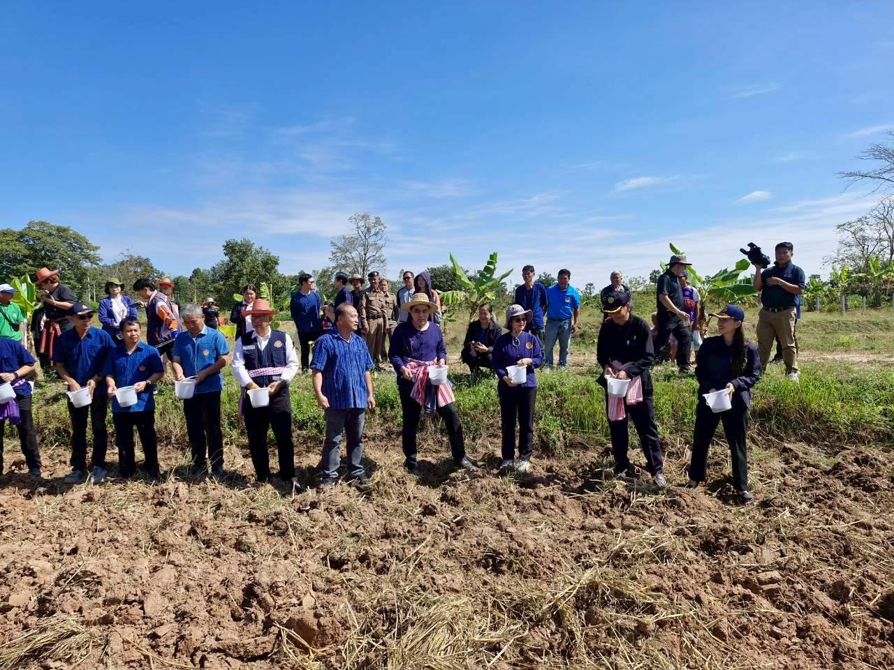 ภาพประกอบที่ 13