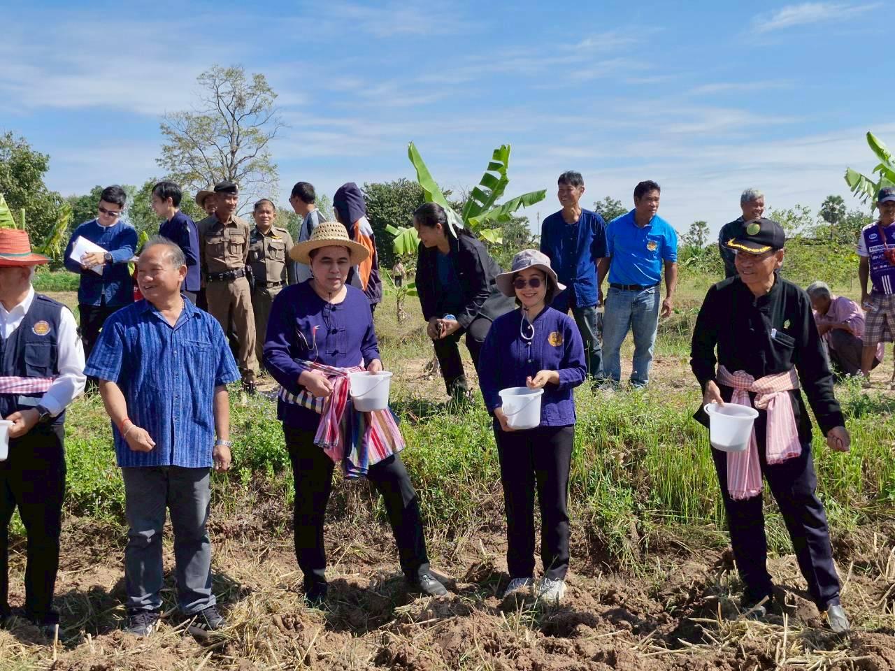 ภาพประกอบที่ 15