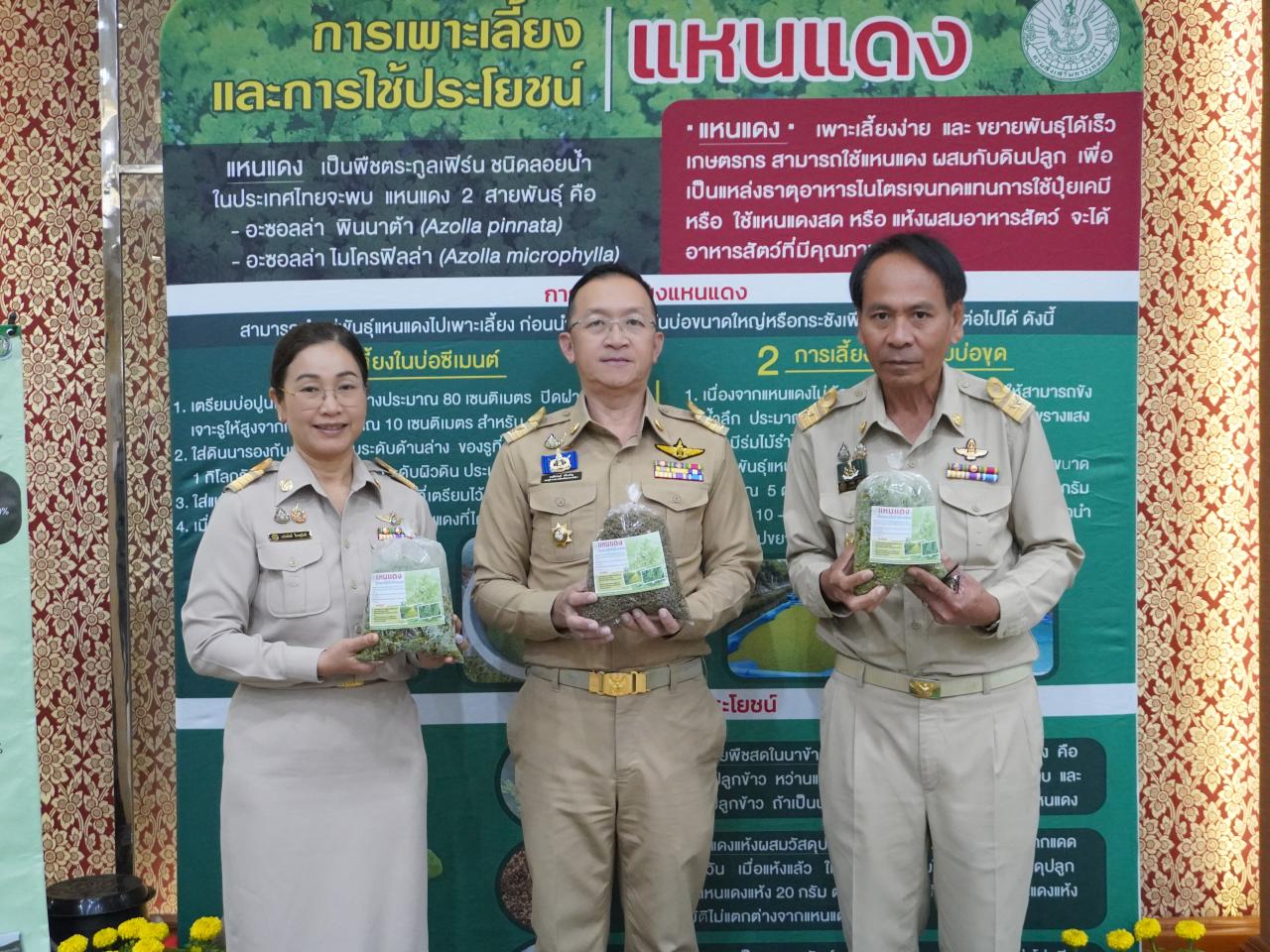 ภาพประกอบที่ 8