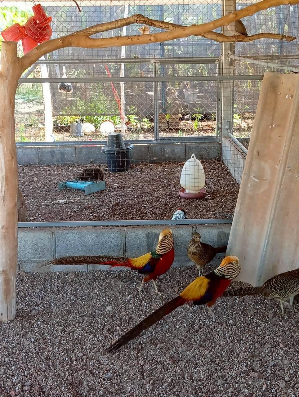 ภาพประกอบที่ 3